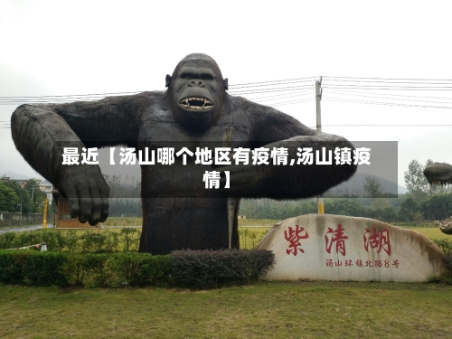 最近【汤山哪个地区有疫情,汤山镇疫情】