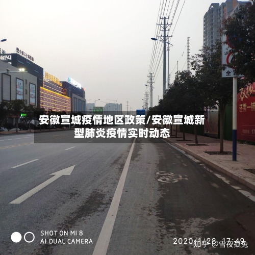 安徽宣城疫情地区政策/安徽宣城新型肺炎疫情实时动态-第2张图片