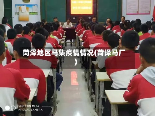 菏泽地区马集疫情情况(菏泽马厂)-第2张图片