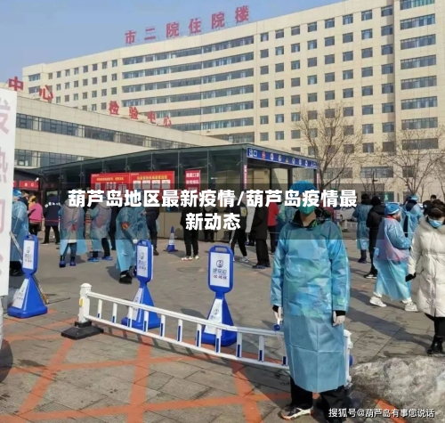 葫芦岛地区最新疫情/葫芦岛疫情最新动态