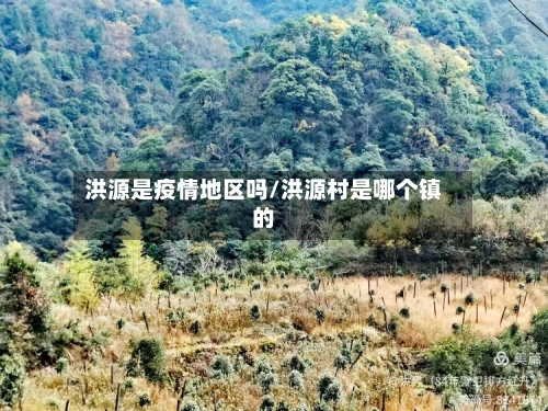 洪源是疫情地区吗/洪源村是哪个镇的