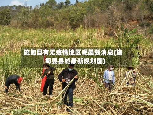 施甸县有无疫情地区呢最新消息(施甸县县城最新规划图)-第2张图片