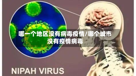 哪一个地区没有病毒疫情/哪个城市没有疫情病毒