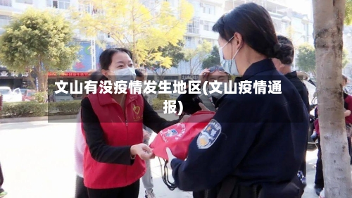 文山有没疫情发生地区(文山疫情通报)-第2张图片