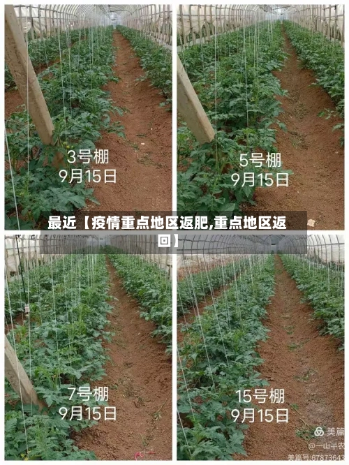 最近【疫情重点地区返肥,重点地区返回】-第3张图片