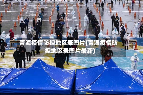 青海疫情防控地区表图片(青海疫情防控地区表图片最新)-第2张图片