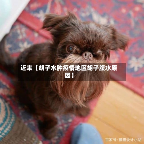 近来【胡子水肿疫情地区胡子腹水原因】-第2张图片