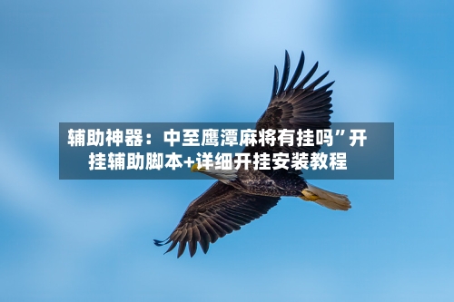 辅助神器：中至鹰潭麻将有挂吗”开挂辅助脚本+详细开挂安装教程