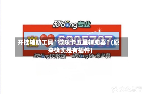开挂辅助工具“微乐卡五星辅助器”(原来确实是有插件)