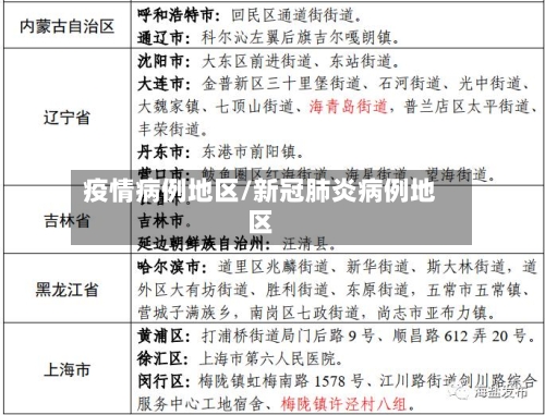 疫情病例地区/新冠肺炎病例地区