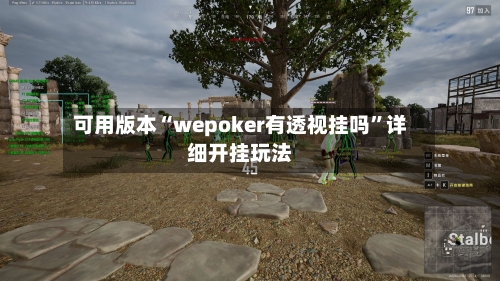 可用版本“wepoker有透视挂吗”详细开挂玩法