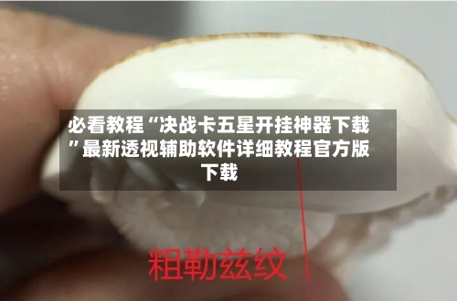 必看教程“决战卡五星开挂神器下载”最新透视辅助软件详细教程官方版下载-第2张图片