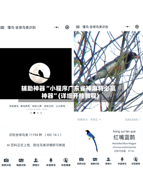 辅助神器“小程序广东雀神麻将必赢神器”(详细开挂教程)