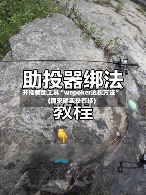 开挂辅助工具“wepoker透视方法”(原来确实是有挂)
