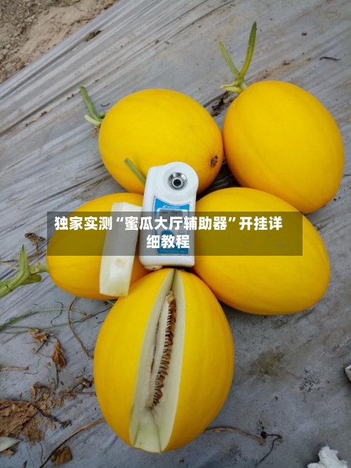 独家实测“蜜瓜大厅辅助器”开挂详细教程-第2张图片