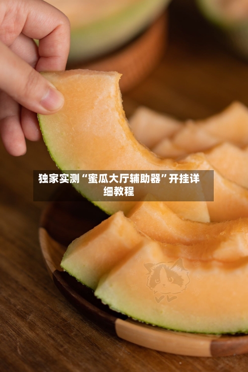 独家实测“蜜瓜大厅辅助器”开挂详细教程-第3张图片