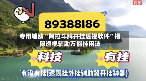 专用辅助“阿拉斗牌开挂透视软件”揭秘透视辅助万能挂用法-第2张图片