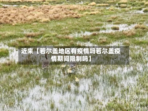 近来【若尔盖地区有疫情吗若尔盖疫情期间限制吗】