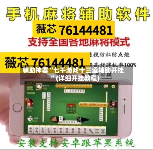 辅助神器“七千游戏十三道辅助开挂”(详细开挂教程)-第2张图片
