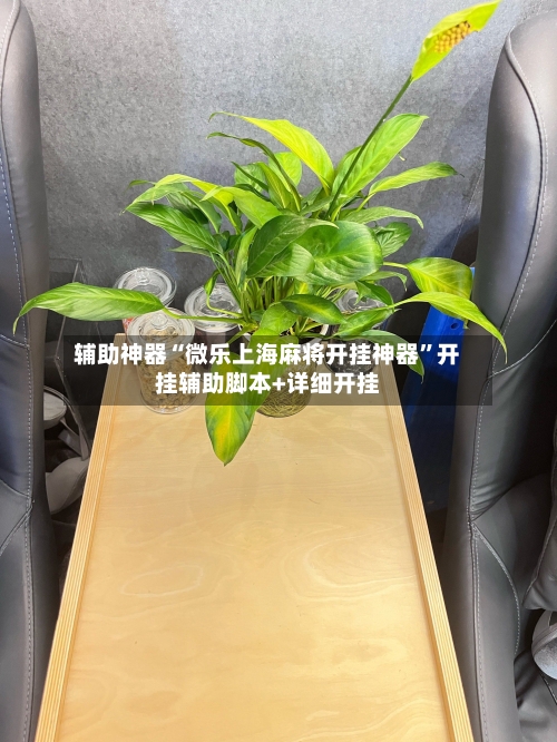 辅助神器“微乐上海麻将开挂神器”开挂辅助脚本+详细开挂