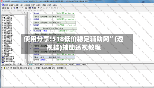 使用分享!518低价稳定辅助网”(透视挂)辅助透视教程