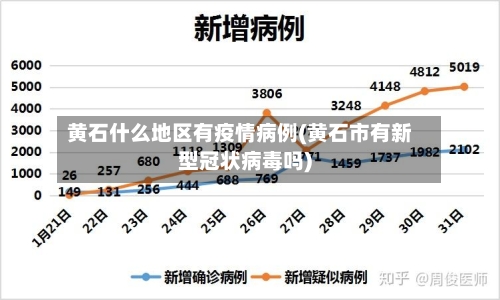 黄石什么地区有疫情病例(黄石市有新型冠状病毒吗)-第2张图片