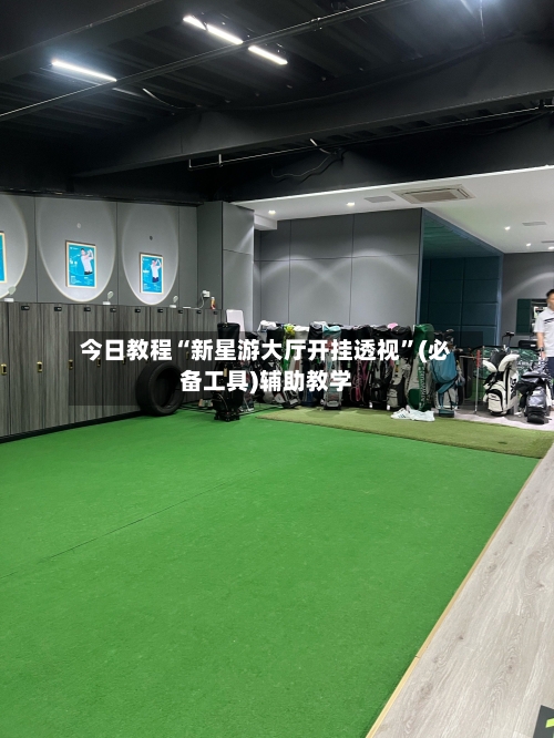 今日教程“新星游大厅开挂透视”(必备工具)辅助教学-第3张图片