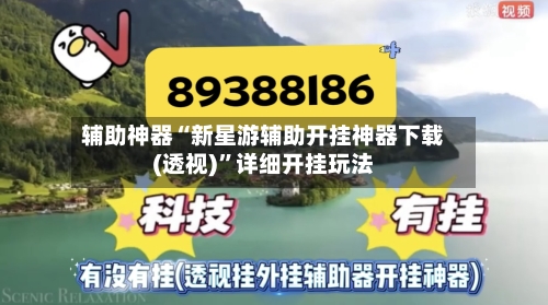 辅助神器“新星游辅助开挂神器下载(透视)”详细开挂玩法-第3张图片