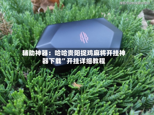 辅助神器：哈哈贵阳捉鸡麻将开挂神器下载”开挂详细教程
