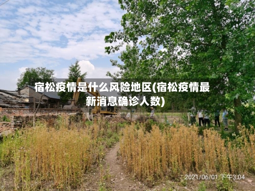 宿松疫情是什么风险地区(宿松疫情最新消息确诊人数)-第2张图片