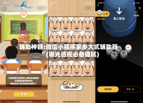 辅助神器:微信小程序家乡大贰辅助器”(曝光透视必备猫腻)