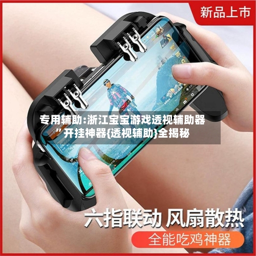 专用辅助:浙江宝宝游戏透视辅助器”开挂神器{透视辅助}全揭秘-第3张图片