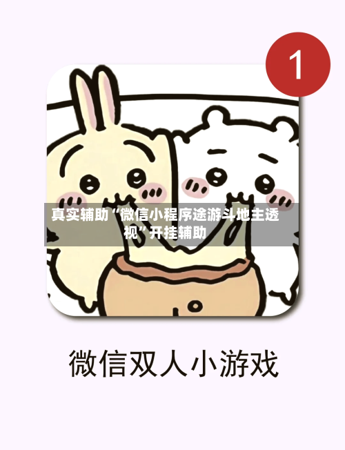 真实辅助“微信小程序途游斗地主透视”开挂辅助-第2张图片