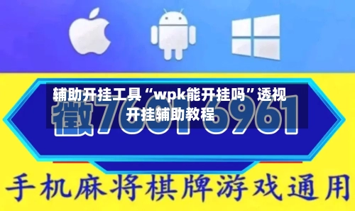 辅助开挂工具“wpk能开挂吗”透视开挂辅助教程