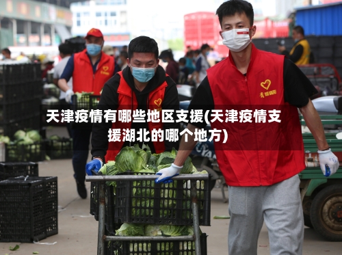 天津疫情有哪些地区支援(天津疫情支援湖北的哪个地方)