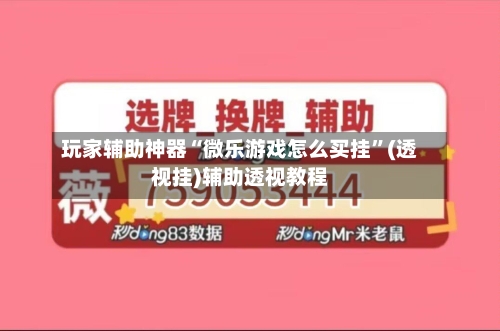 玩家辅助神器“微乐游戏怎么买挂”(透视挂)辅助透视教程