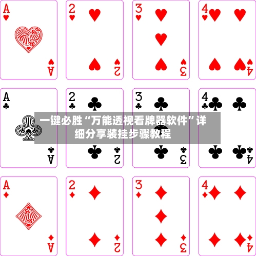 一键必胜“万能透视看牌器软件”详细分享装挂步骤教程-第2张图片