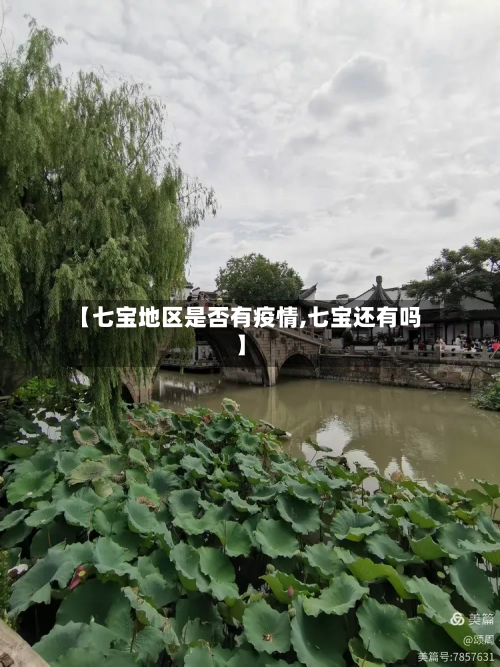 【七宝地区是否有疫情,七宝还有吗】-第2张图片