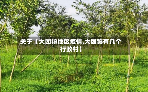 关于【大团镇地区疫情,大团镇有几个行政村】
