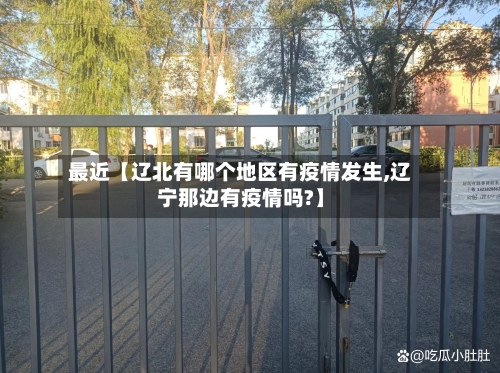 最近【辽北有哪个地区有疫情发生,辽宁那边有疫情吗?】-第2张图片