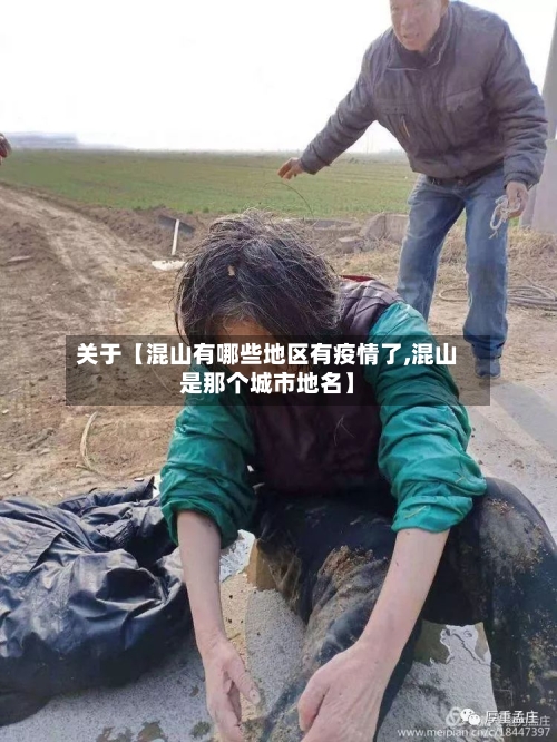 关于【混山有哪些地区有疫情了,混山是那个城市地名】-第2张图片