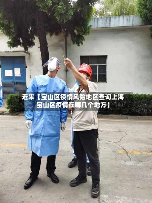 近来【宝山区疫情风险地区查询上海宝山区疫情在哪几个地方】-第3张图片