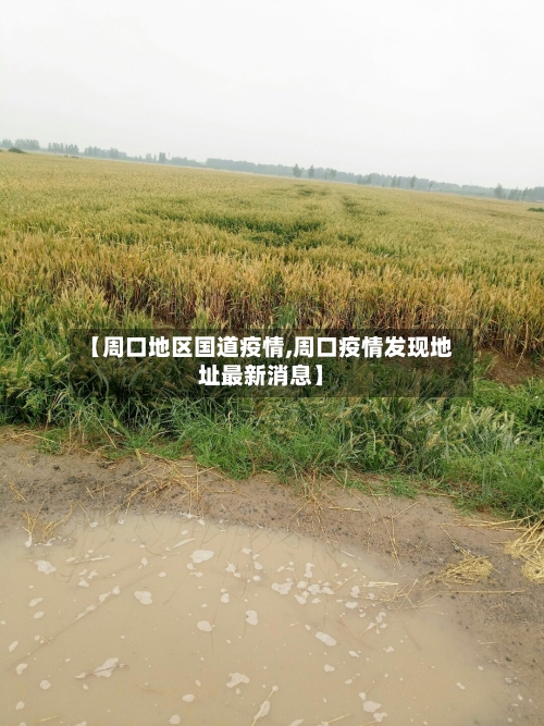 【周口地区国道疫情,周口疫情发现地址最新消息】-第2张图片