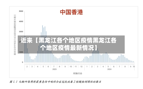 近来【黑龙江各个地区疫情黑龙江各个地区疫情最新情况】-第3张图片