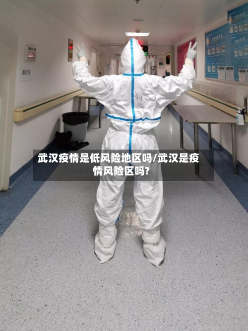武汉疫情是低风险地区吗/武汉是疫情风险区吗?