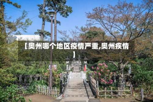 【奥州哪个地区疫情严重,奥州疾情】-第3张图片